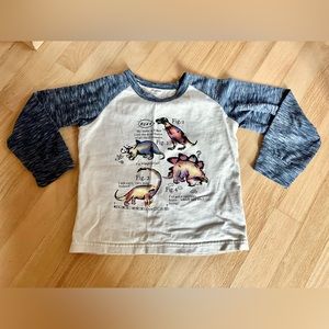 Boys raglan dinosaur long sleeve shirt Sz 6
